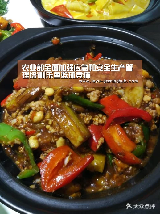 乐鱼电竞平台