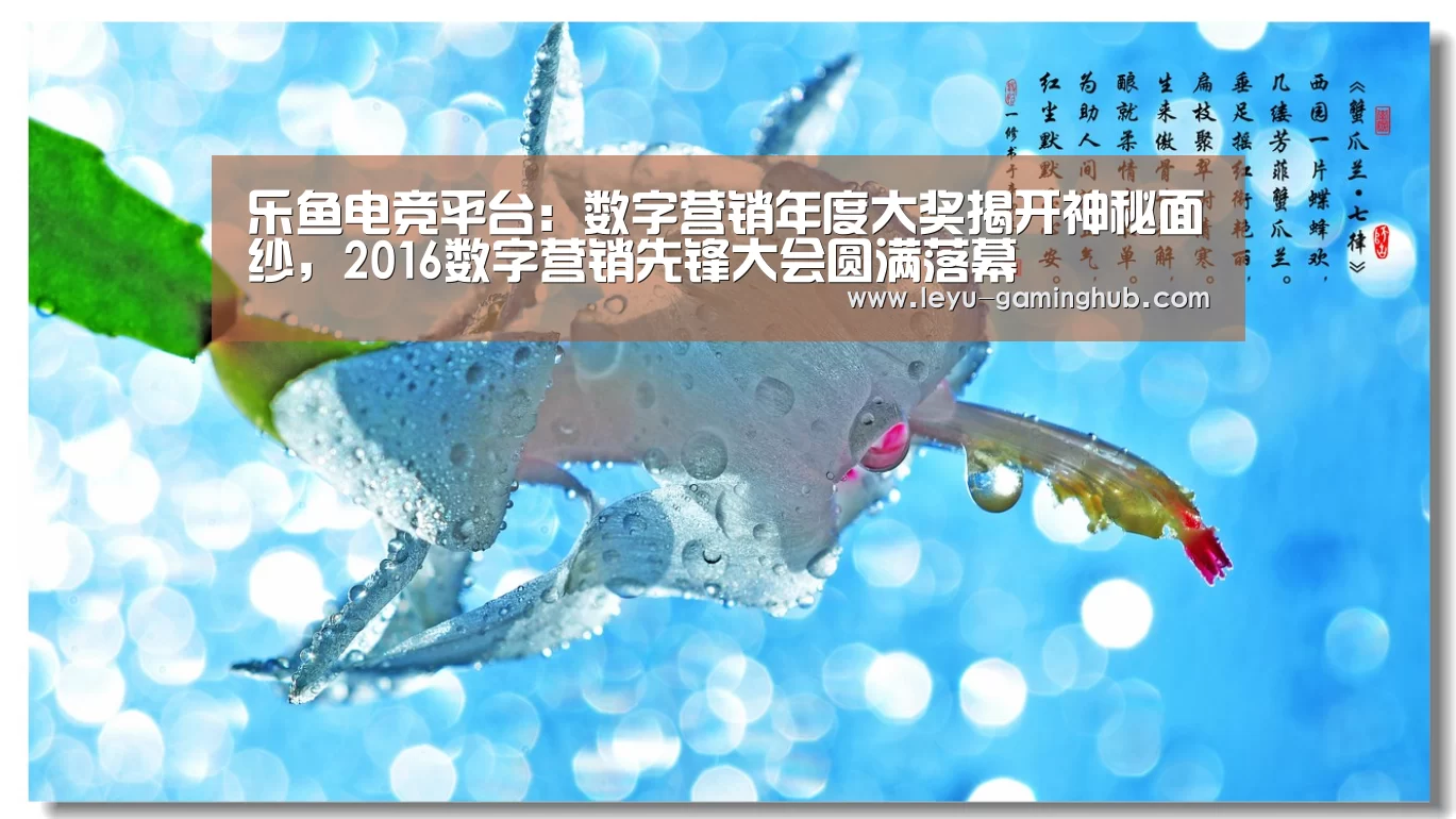乐鱼官方入口