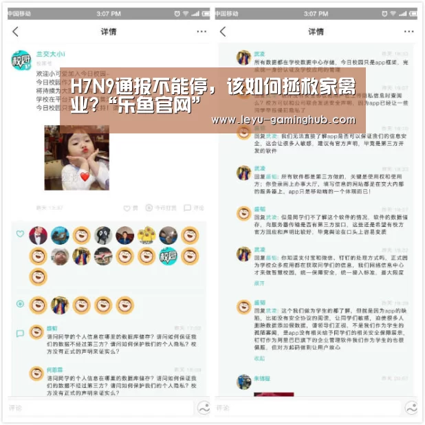 乐鱼篮球竞猜
