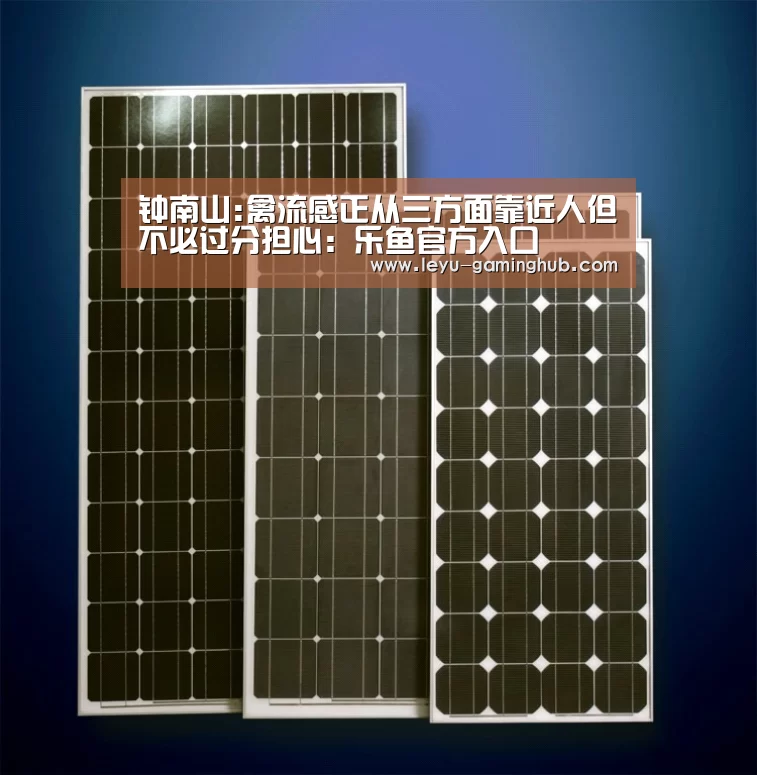 钟南山:禽流感正从三方面靠近人但不必过分担心:乐鱼官方入口(图3) 乐鱼官方入口