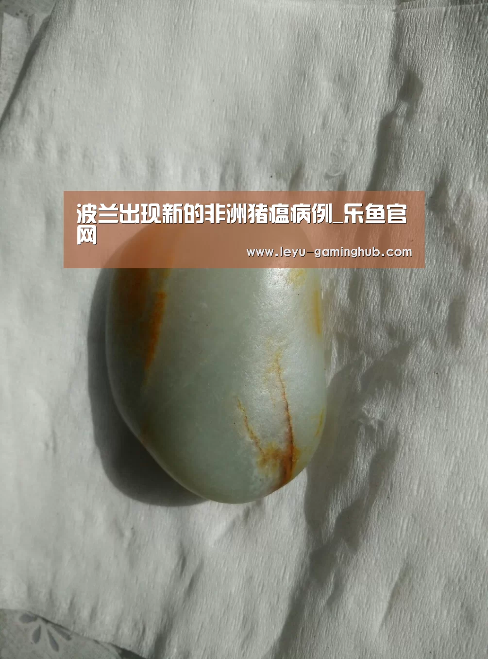 波兰出现新的非洲猪瘟病例_乐鱼官网(图3) 乐鱼官网