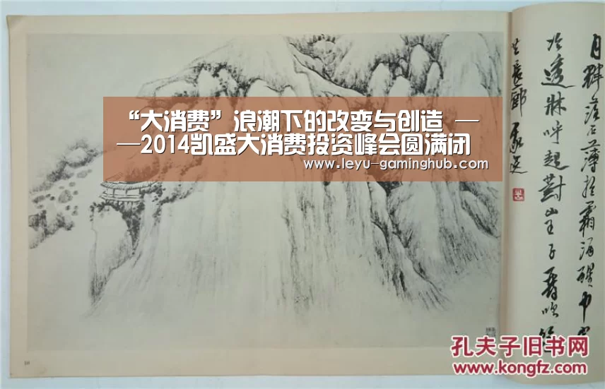 “大消费”浪潮下的改变与创造 ——2014凯盛大消费投资峰会圆满闭幕:乐鱼官网(图1) 乐鱼电竞平台