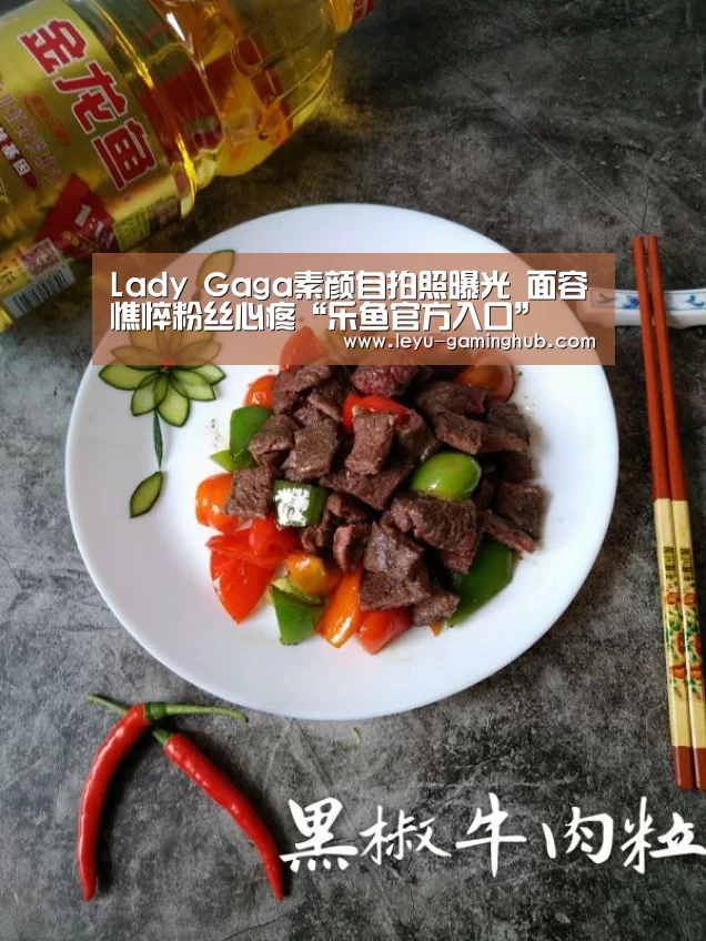 Lady Gaga素颜自拍照曝光 面容憔悴粉丝心疼“乐鱼官方入口”(图2) 乐鱼电竞平台