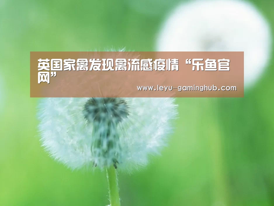 乐鱼篮球竞猜