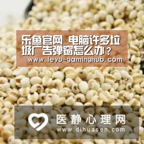 乐鱼官网_电脑许多垃圾广告弹窗怎么办?只需几个小步骤,跟垃圾广告说再见(图1) 乐鱼官网
