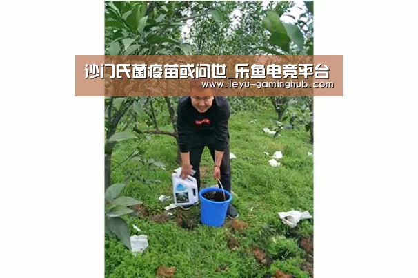 沙门氏菌疫苗或问世_乐鱼电竞平台(图3) 乐鱼篮球竞猜