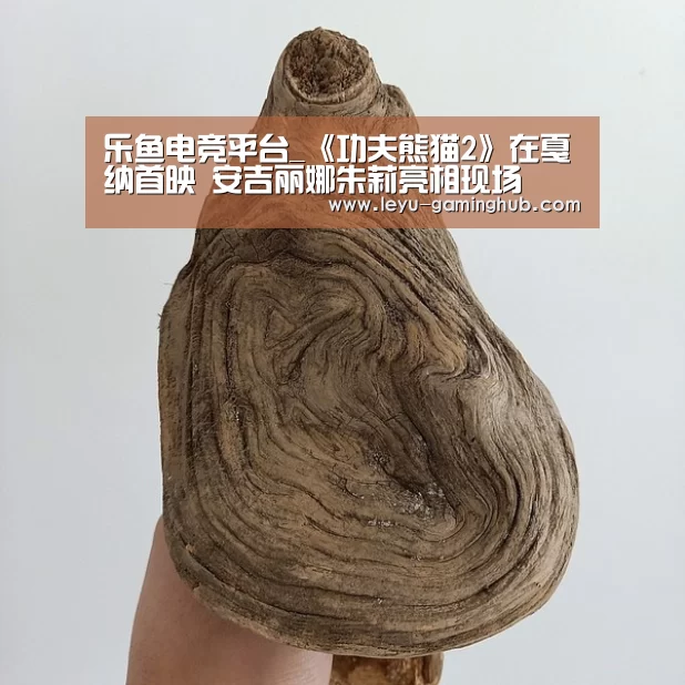 乐鱼电竞平台