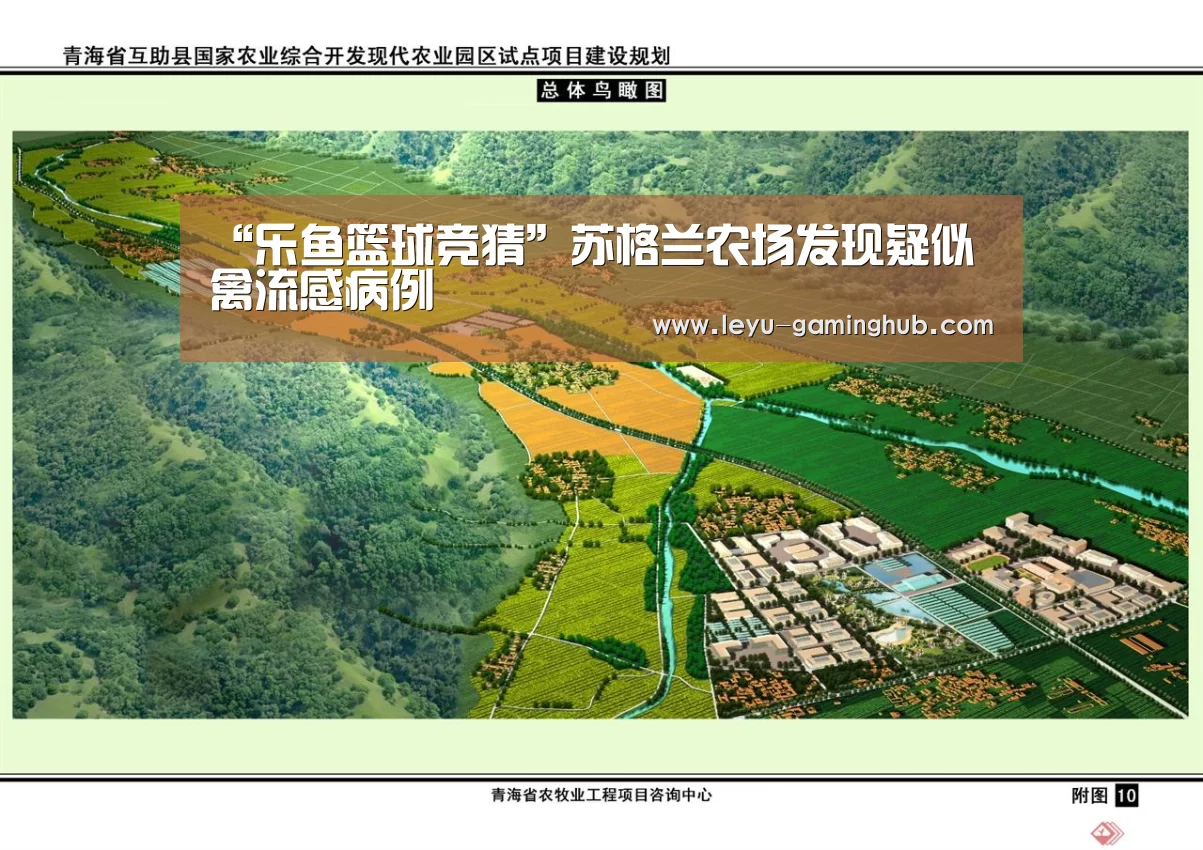 乐鱼官方入口