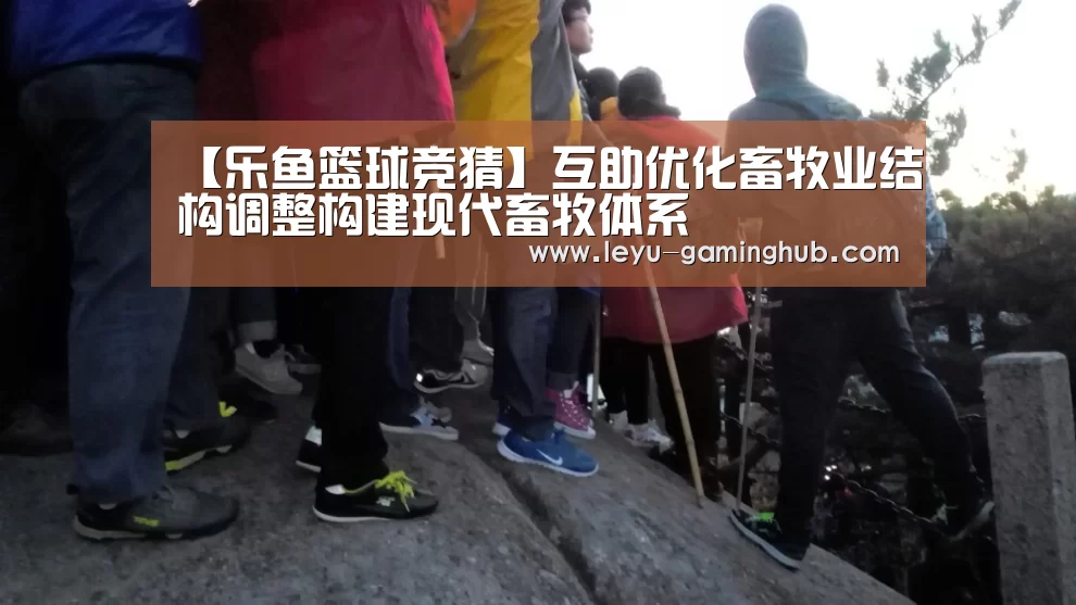 【乐鱼篮球竞猜】互助优化畜牧业结构调整构建现代畜牧体系(图2) 乐鱼电竞平台